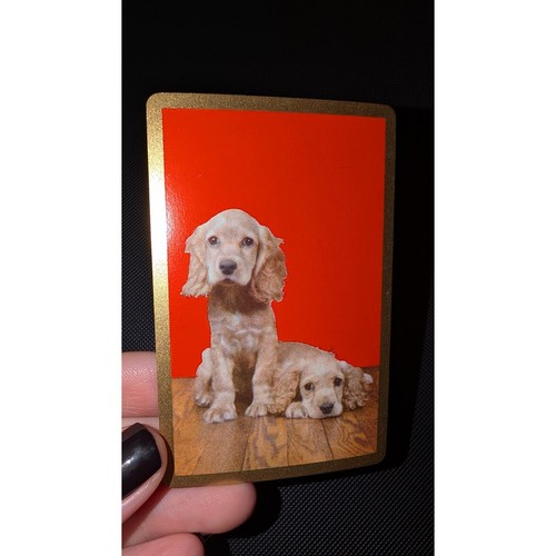 Single playing card dog - card:,