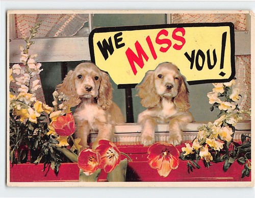 Postcard vintage - postcard, two