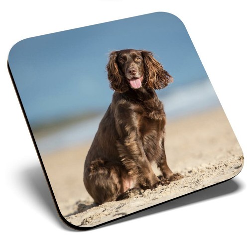 Square single coaster cocker - single,