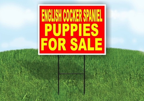 English cocker spaniel - english, puppies