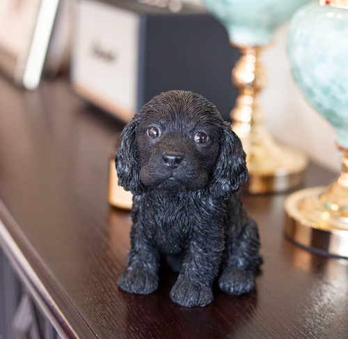 Soreal black cocker spaniel - cocker,