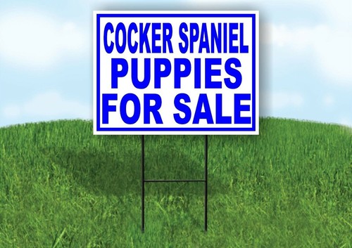 Cocker spaniel puppies - cocker,