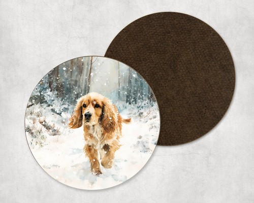 Cocker spaniel dog - cocker,