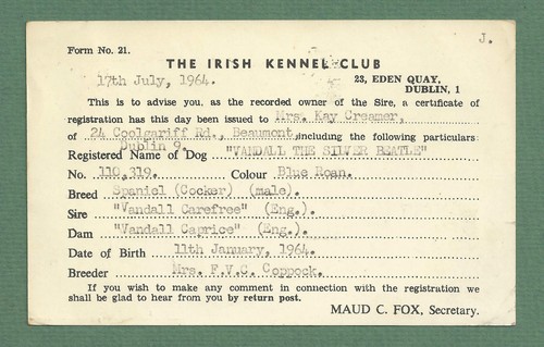 1964 irish kennel club - 1964,