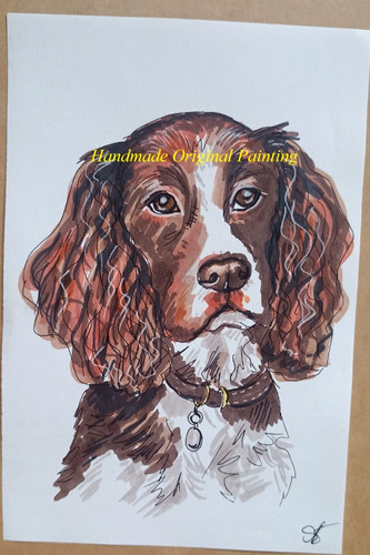 Cocker spaniel dog portrait - spaniel,