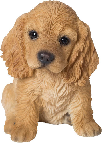Cream coloured cocker - cream-coloured,