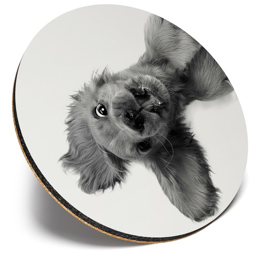 Round single coaster - ,