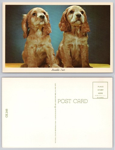 Vintage cocker spaniel - cocker, puppies