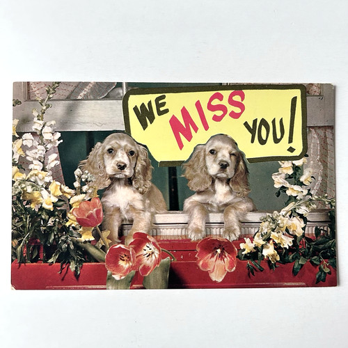 Postcard miss you - you, puppies