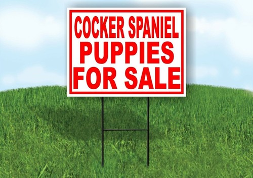 Cocker spaniel puppies - spaniel, for