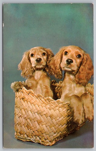 Vintage postcard two - postcard,