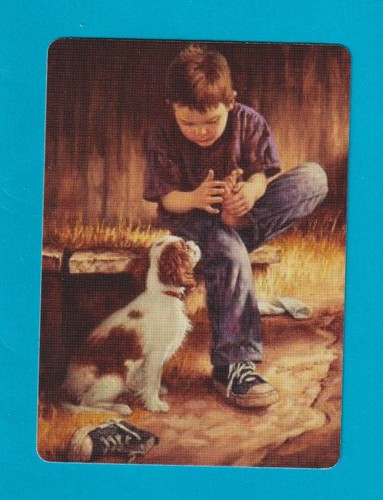 Little boy and cocker - little,