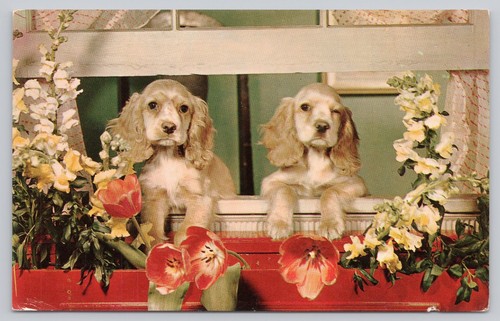 Vintage plastichrome postcard - vintage,