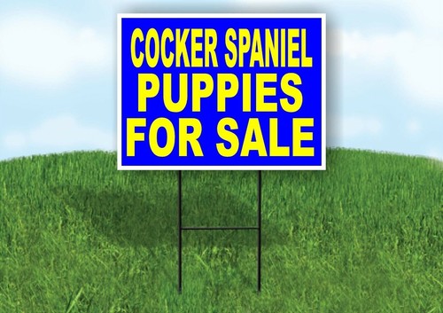 Cocker spaniel puppies for - cocker,