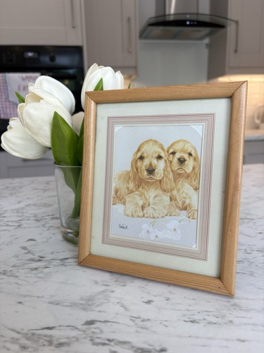 Vintage framed cocker spaniel - vintage,