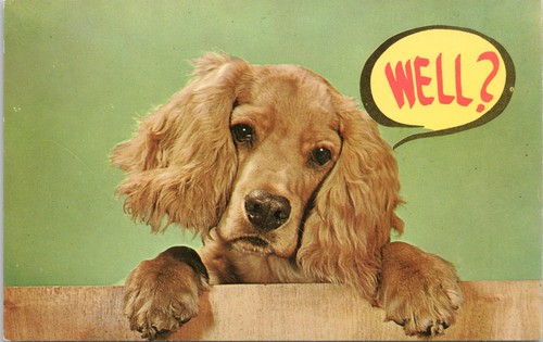Vintage postcard cocker - vintage,