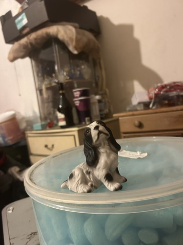 Hhh cocker spaniel - hhh,