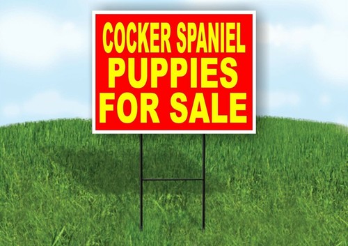 Cocker spaniel puppies for - spaniel,