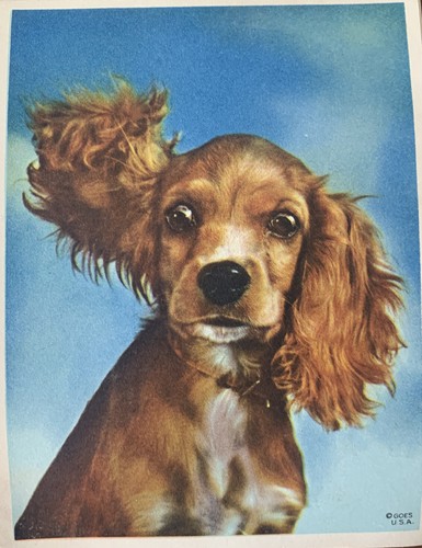 Vtg litho lithograph - vtg, usa