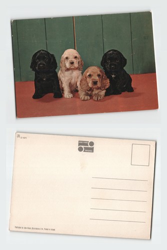 Vintage postcard cocker - postcard,