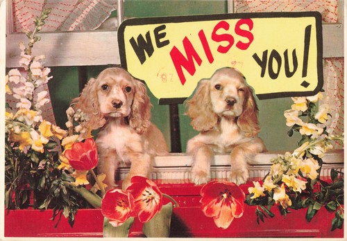 Miss you two - miss, golden