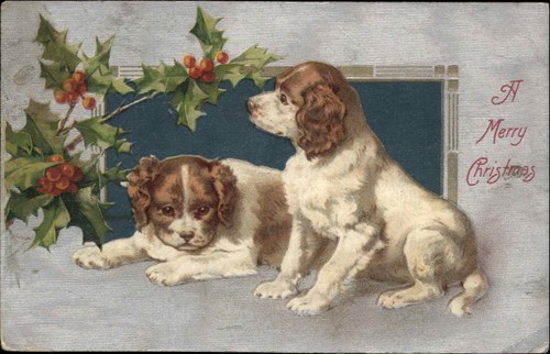 Christmas puppies springer - christmas, or