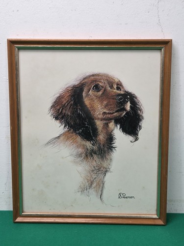 Framed cocker spaniel puppy - framed,