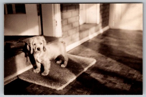 Vtg snapshot cute - b&w,