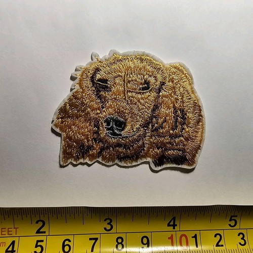 Cocker spaniel dog pup puppy - spaniel,
