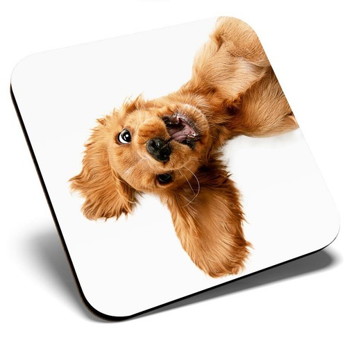 Square single coaster - square,