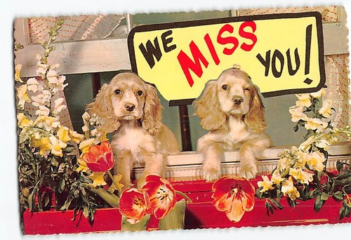 Postcard miss you two - we,