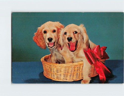 Postcard cute pair blond - postcard,