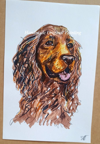 Cocker spaniel dog portrait - cocker,